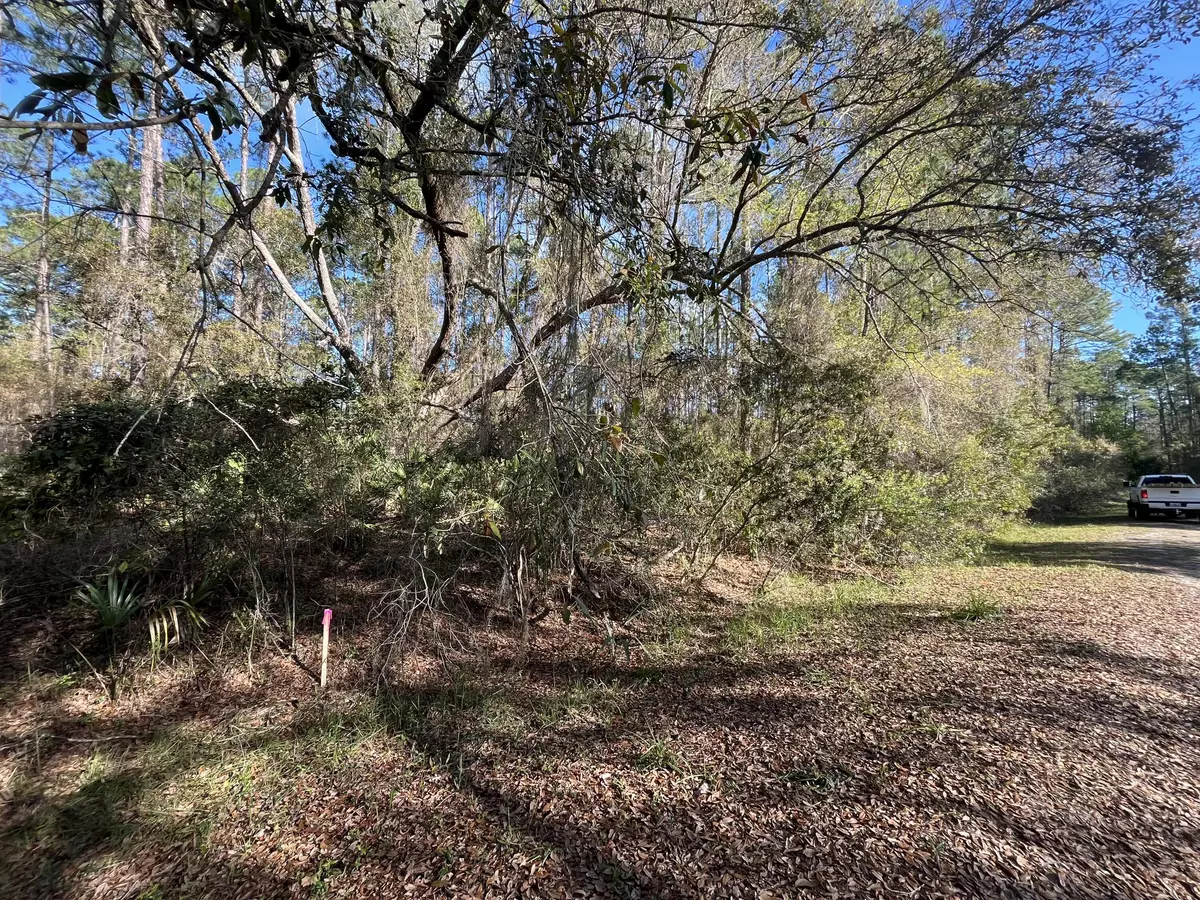 Georgetown, FL 32139,104 SE 5th ST