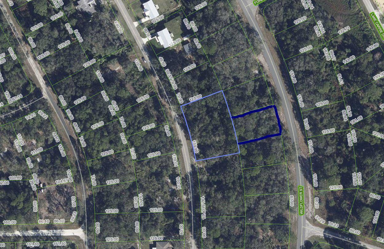 Lake Placid, FL 33852,1012 Wildflower ST