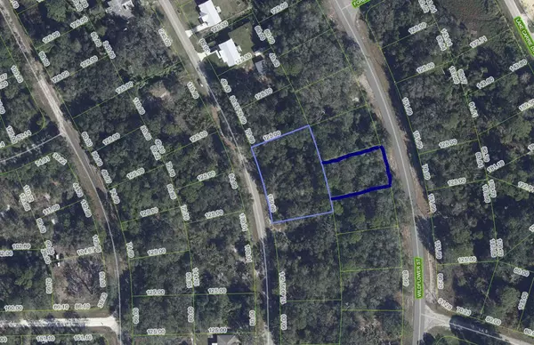 Lake Placid, FL 33852,1012 Wildflower ST