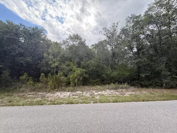 Lake Placid, FL 33852,1012 Wildflower ST