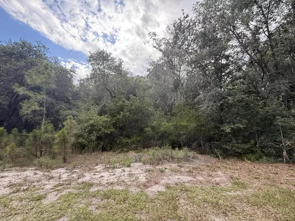 Lake Placid, FL 33852,1012 Wildflower ST