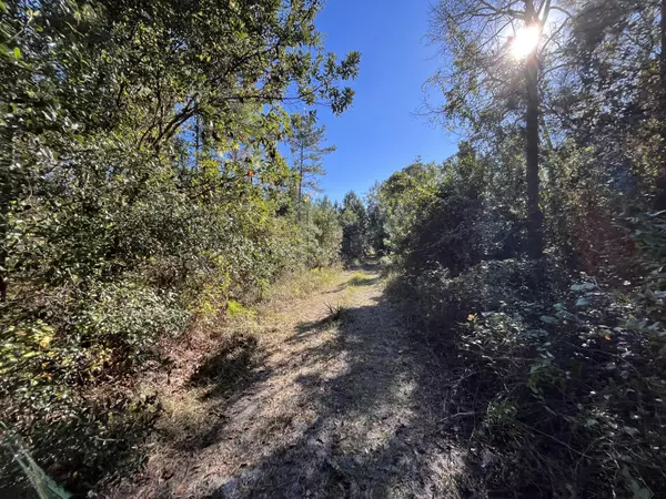 Satsuma, FL 32189,223 Mourning Dove RD