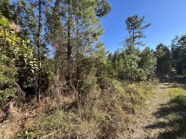 Satsuma, FL 32189,223 Mourning Dove RD