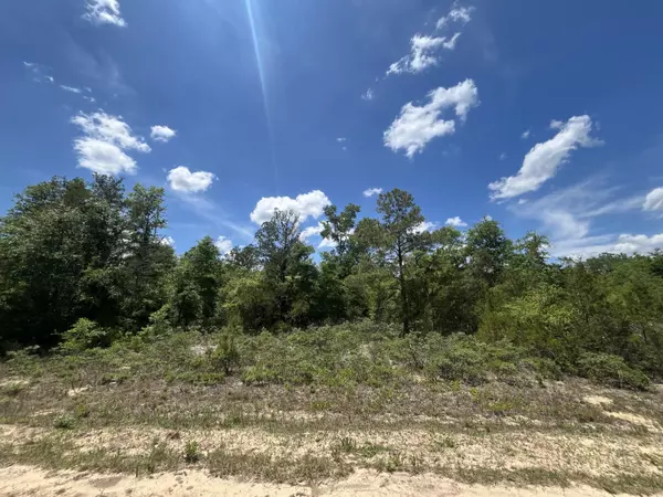 Marianna, FL 32448,Tbd Magnolia LN