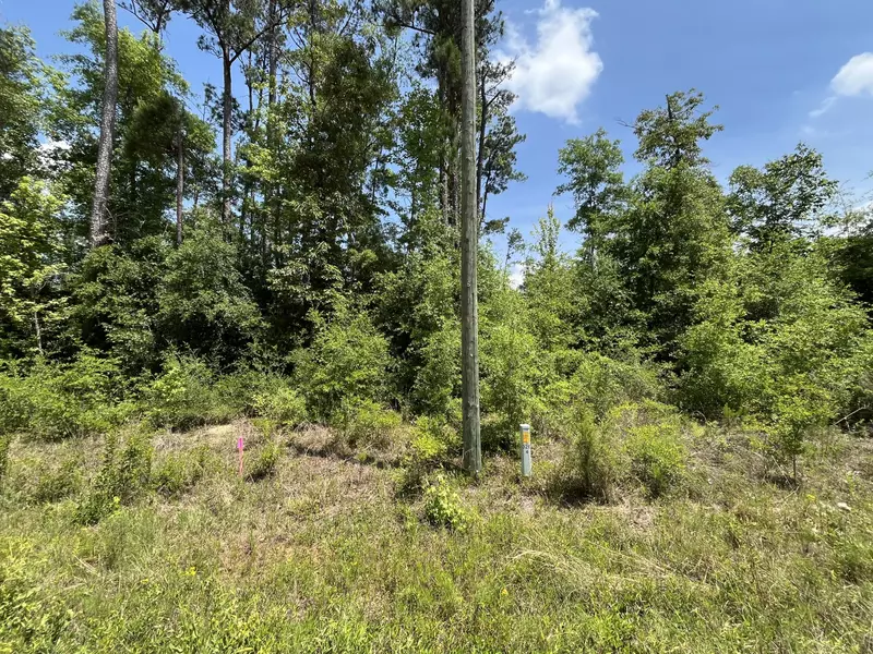 Tbd Magnolia LN, Marianna, FL 32448