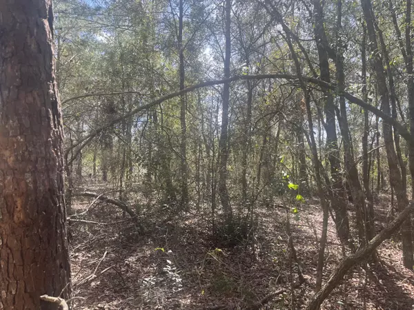 Interlachen, FL 32148,Tbd Martha DR