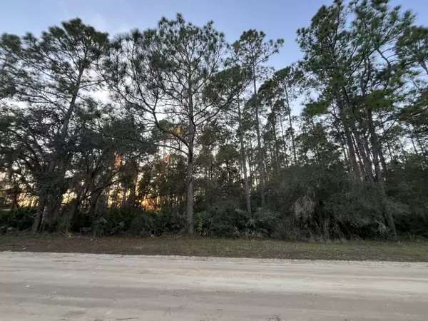 Tbd Royal AVE, Interlachen, FL 32148
