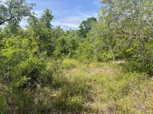 Alford, FL 32420,Tbd Rome AVE