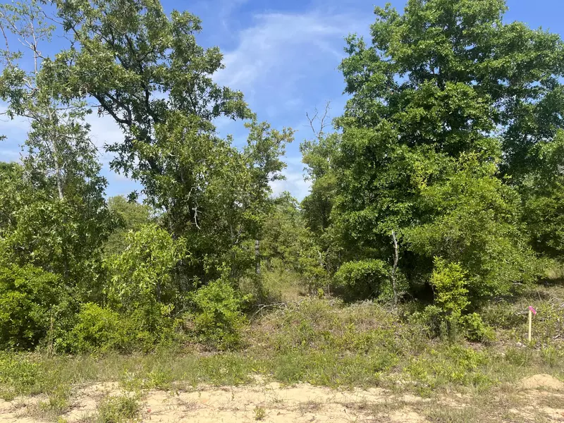 Tbd Rome AVE, Alford, FL 32420