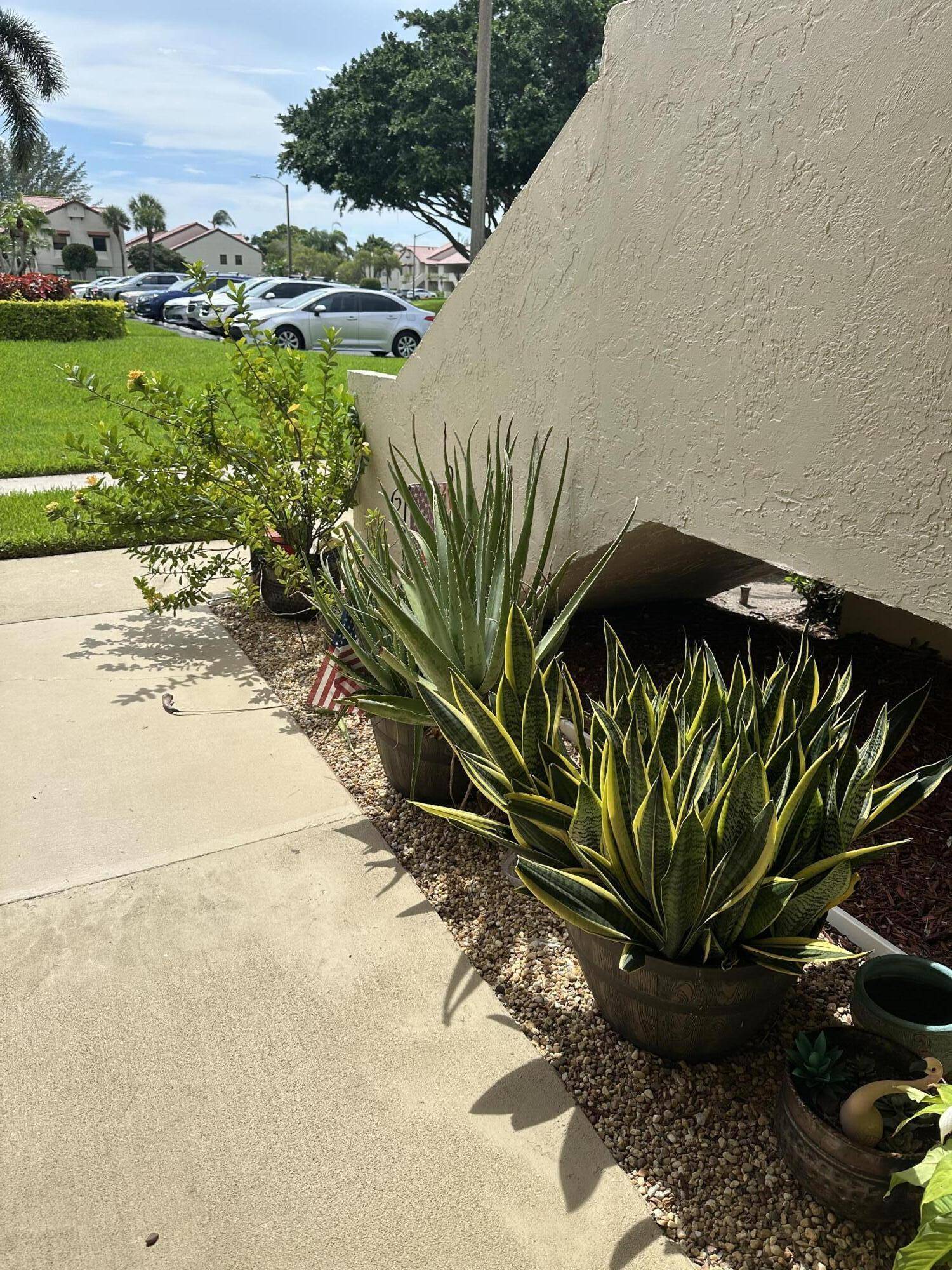 Boynton Beach, FL 33472,5807 Parkwalk DR 1124