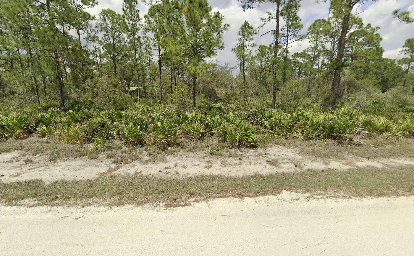 333 Dunlin AVE, Sebring, FL 33870