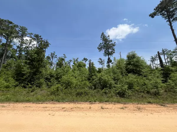 Alford, FL 32420,Tbd Grand Quiviera CIR