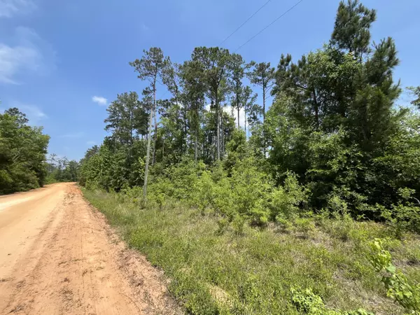 Alford, FL 32420,Tbd Grand Quiviera CIR