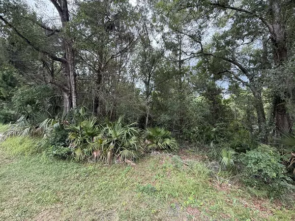 Homosassa, FL 34448,7647 W Springtime LN