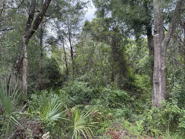 Homosassa, FL 34448,7647 W Springtime LN