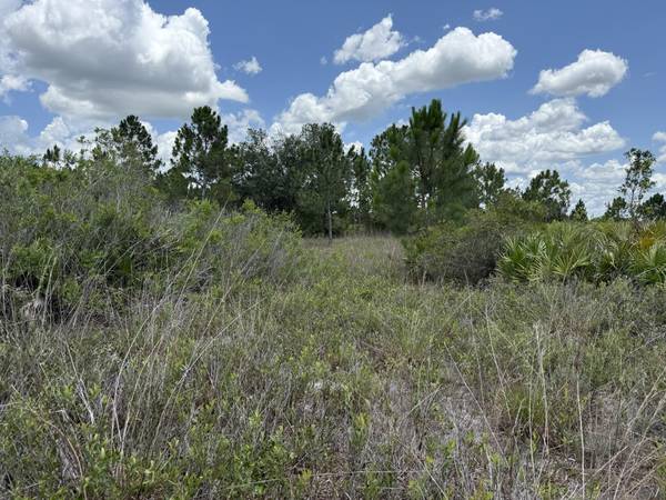 0 NW 310th Okeechobee, Okeechobee, FL 34972