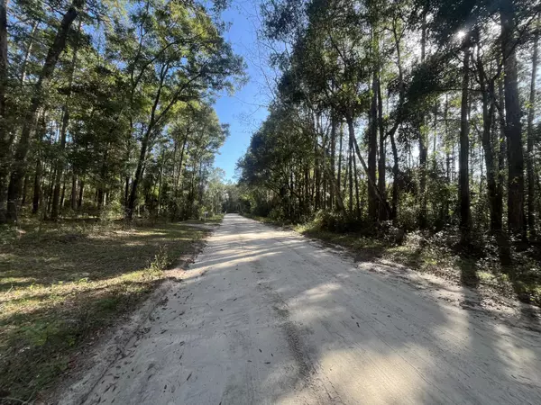 Crawfordville, FL 32327,Tbd Rutland RD
