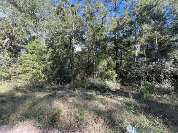 Crawfordville, FL 32327,Tbd Rutland RD