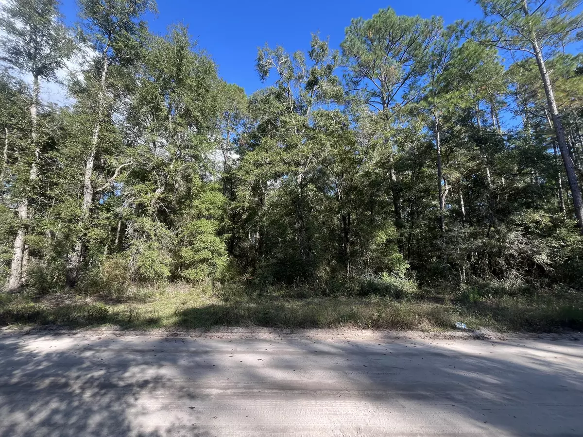 Crawfordville, FL 32327,Tbd Rutland RD