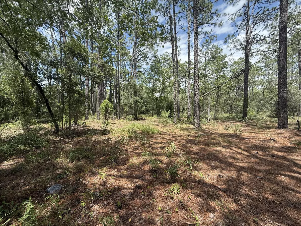 Dunnellon, FL 34431,Tbd NW Ridgewood RD