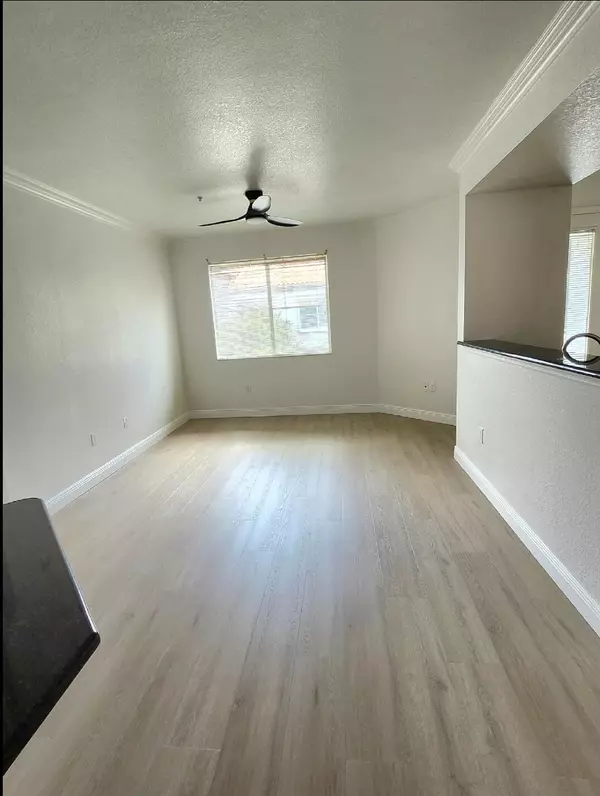Palm Beach Gardens, FL 33410,11016 Legacy DR 303