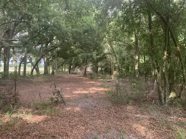 Bell, FL 32619,20 SW Sw ST