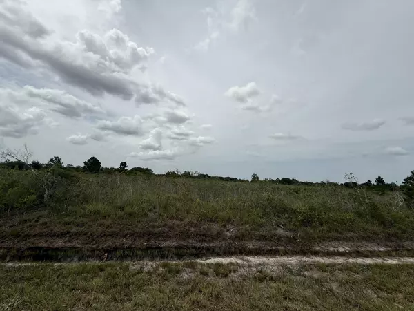 Okeechobee, FL 34972,17385 NW 314th ST