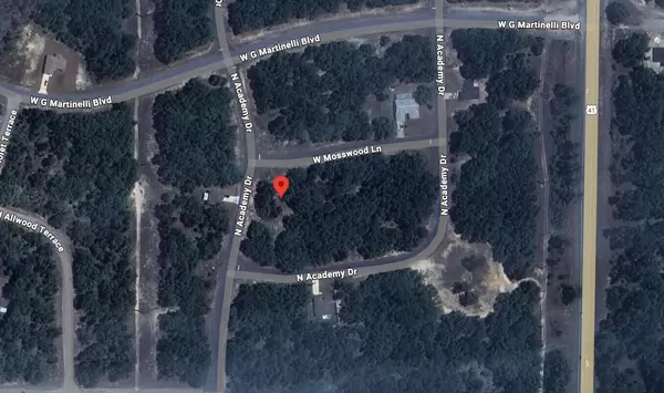 Citrus Springs, FL 34434,1425 W Mosswood LN