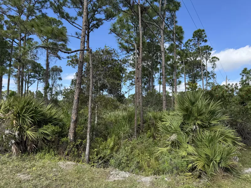 0 Tree Top TRL, Fort Pierce, FL 34951