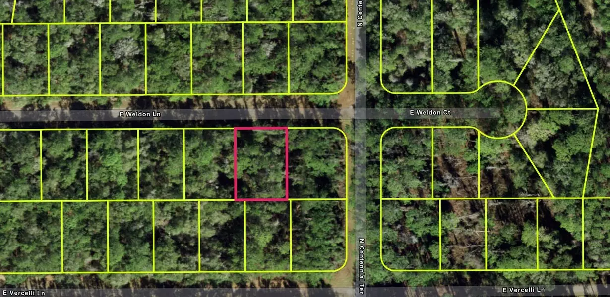 936 E Weldon LN, Citrus Springs, FL 34434