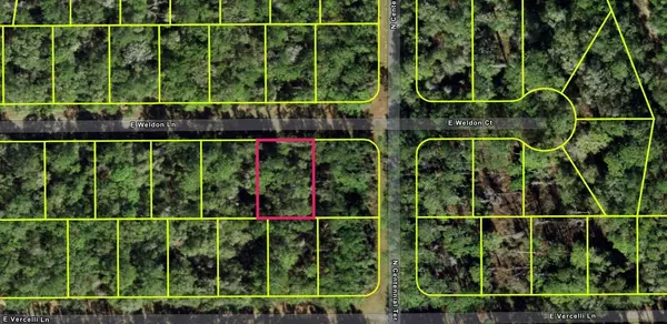 936 E Weldon LN, Citrus Springs, FL 34434