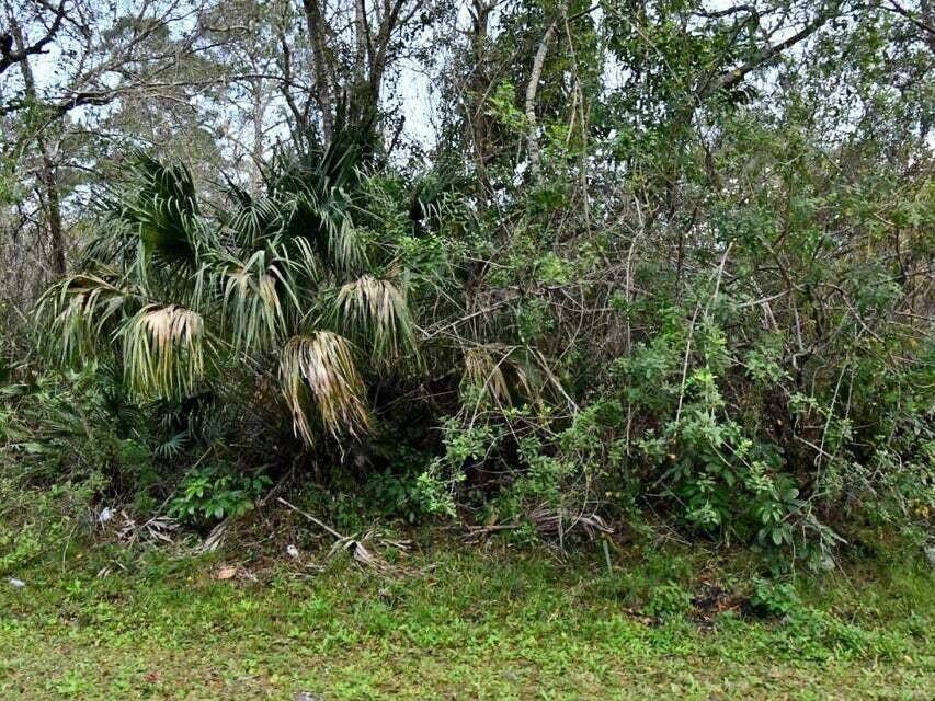 2120 Scott AVE, Alva, FL 33920