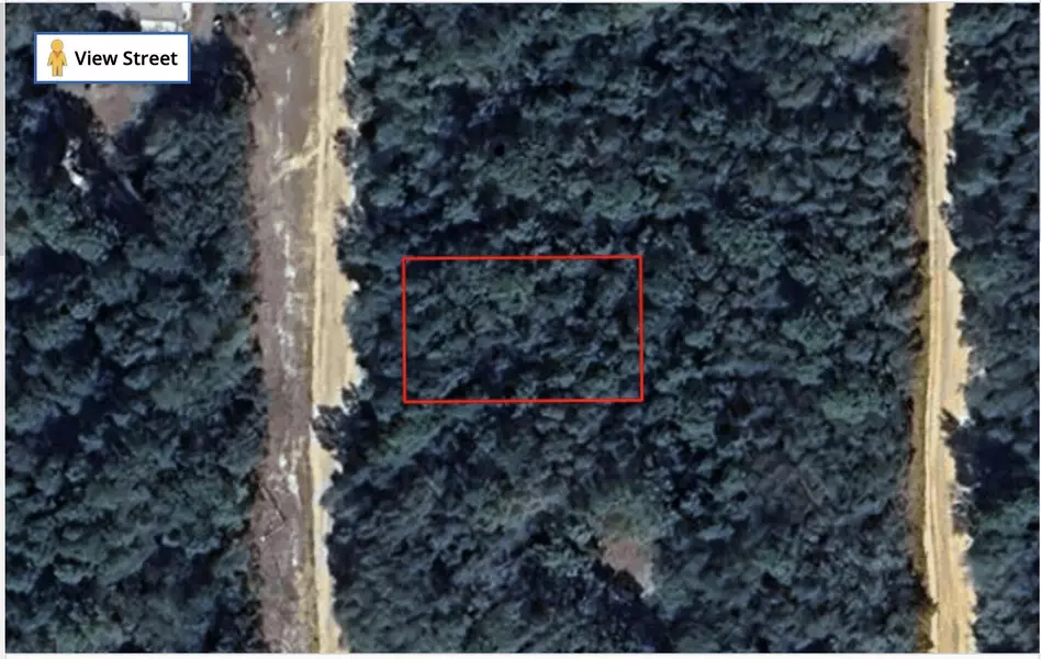 Tbd Louise AVE, Interlachen, FL 32148