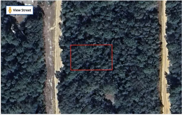 Tbd Louise AVE, Interlachen, FL 32148