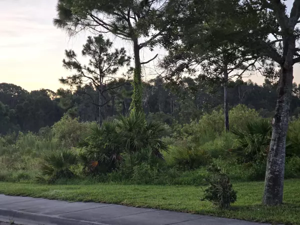 Port Saint Lucie, FL 34952,00 Prima Vista BLVD