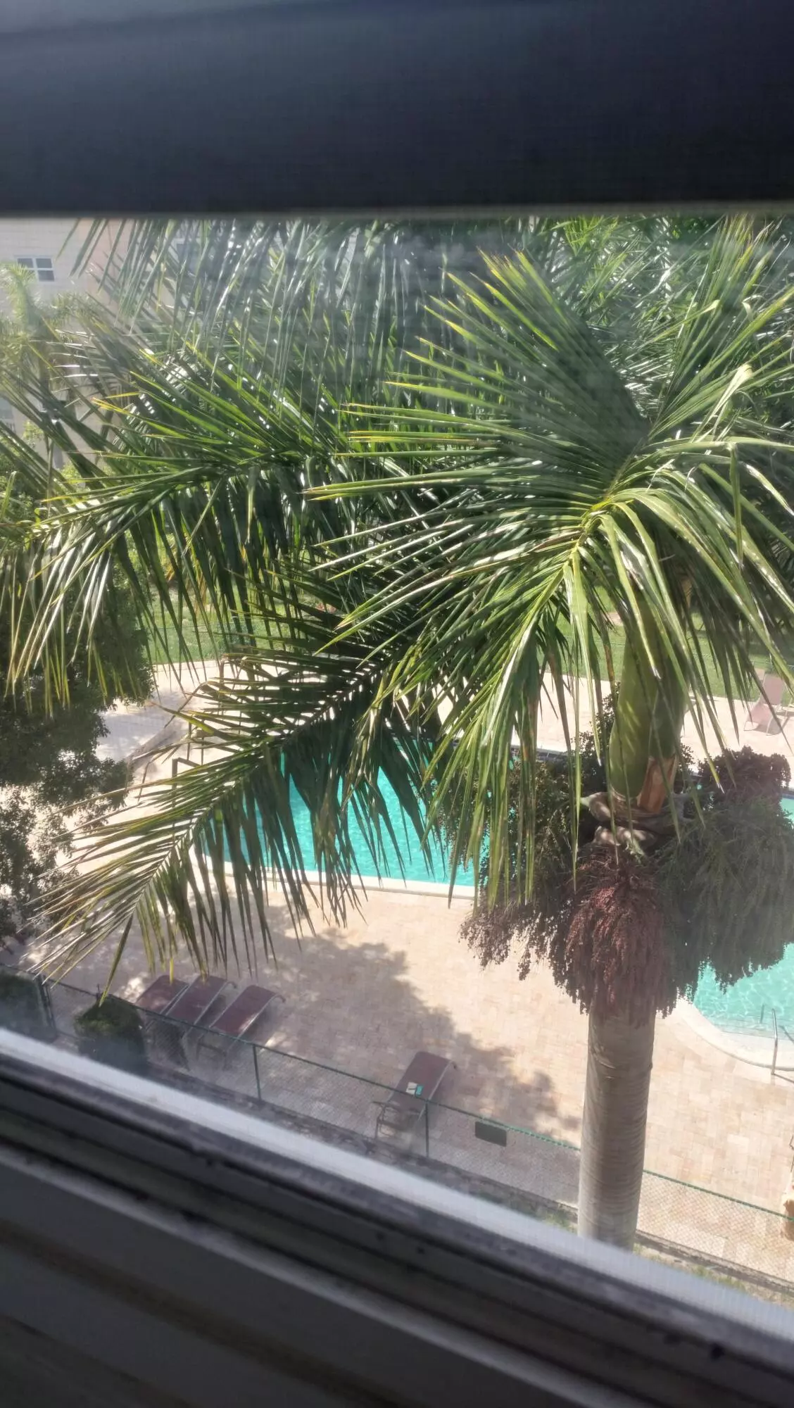 Hallandale Beach, FL 33009,218 NE 12th AVE 506