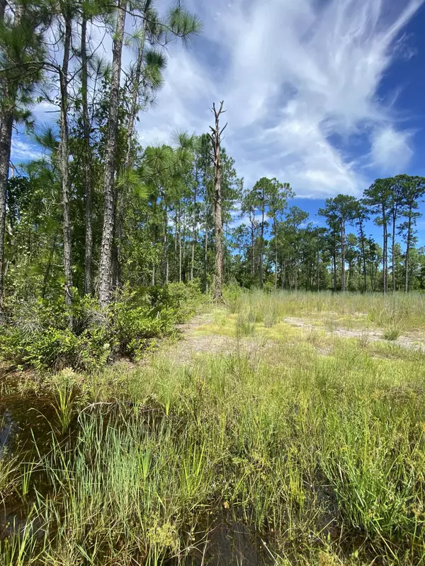 Lake Wales, FL 33855,418 Gaillardia DR