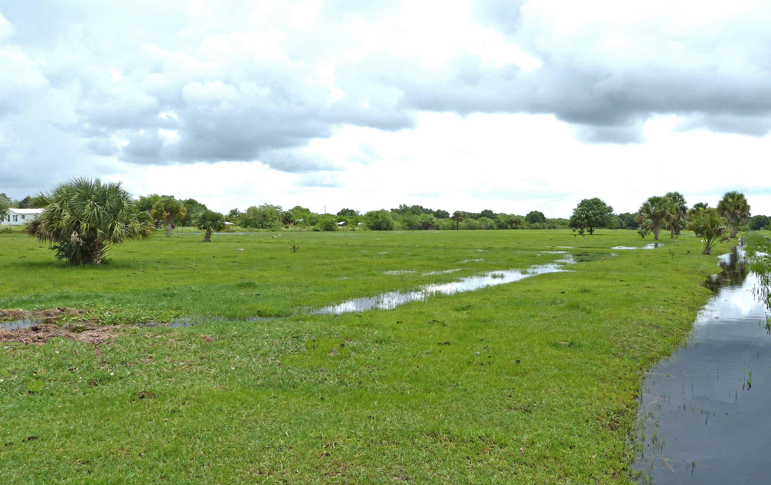 Port Saint Lucie, FL 34987,Tbd Carlton RD