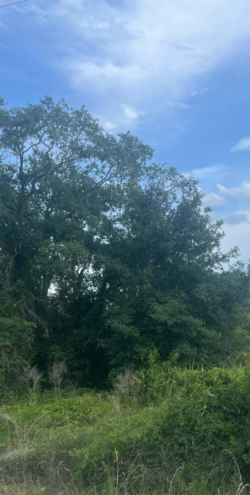 122 NW Del Mundo ST, Palm Bay, FL 32907