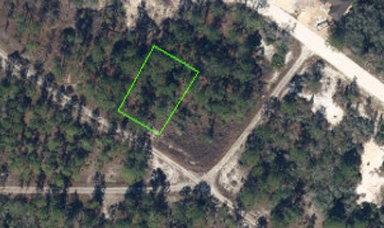 499 Devotion DR, Lake Placid, FL 33852