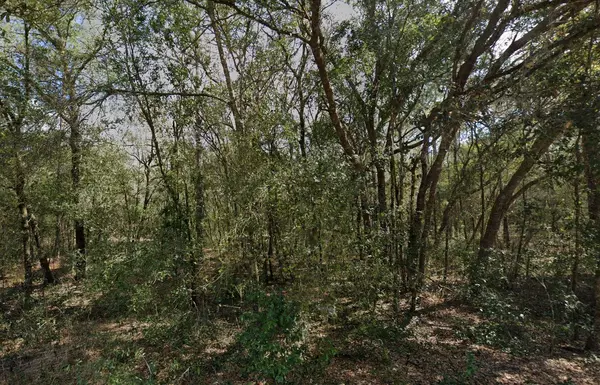 Interlachen, FL 32148,138 SE 8th AVE