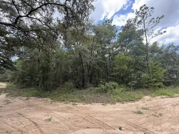 Interlachen, FL 32148,138 SE 8th AVE