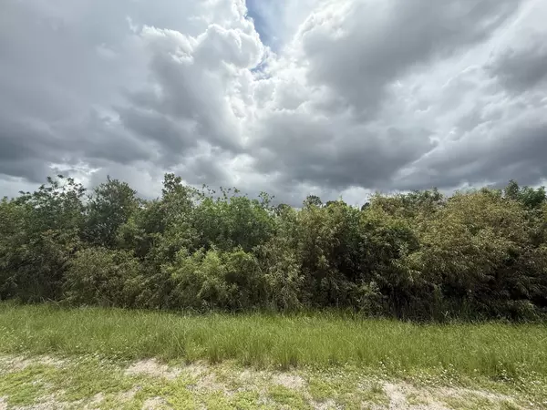 155 N Verda ST, Clewiston, FL 33440