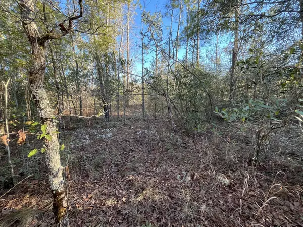 Alford, FL 32420,Tbd Goreville