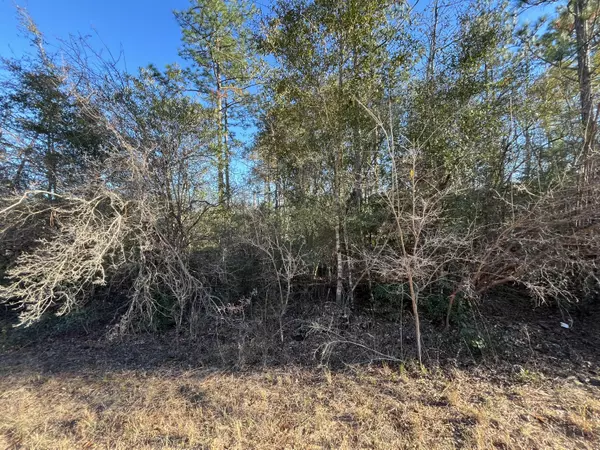 Alford, FL 32420,Tbd Goreville