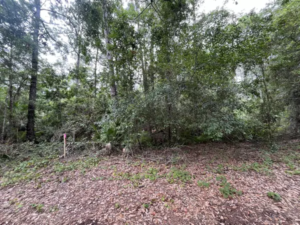 223 Ward AVE, Crescent City, FL 32112