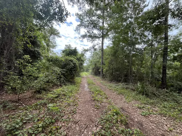 Crescent City, FL 32112,223 Ward AVE