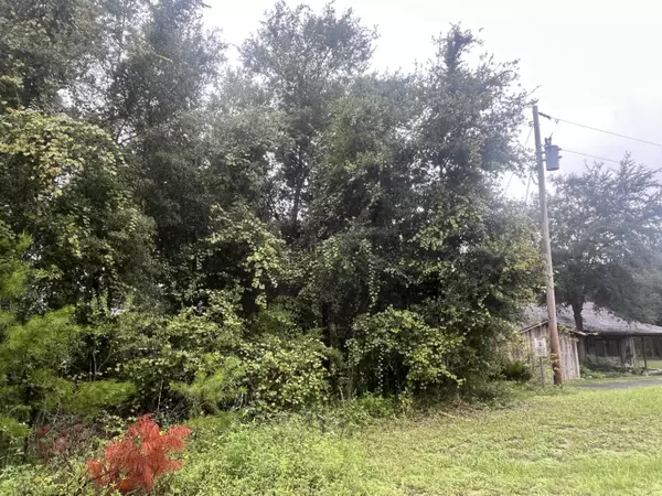 Hawthorne, FL 32640,331 S Carolina ST