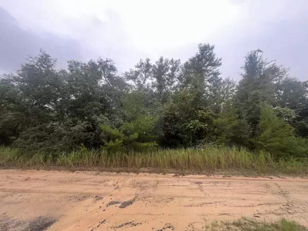 Hawthorne, FL 32640,331 S Carolina ST