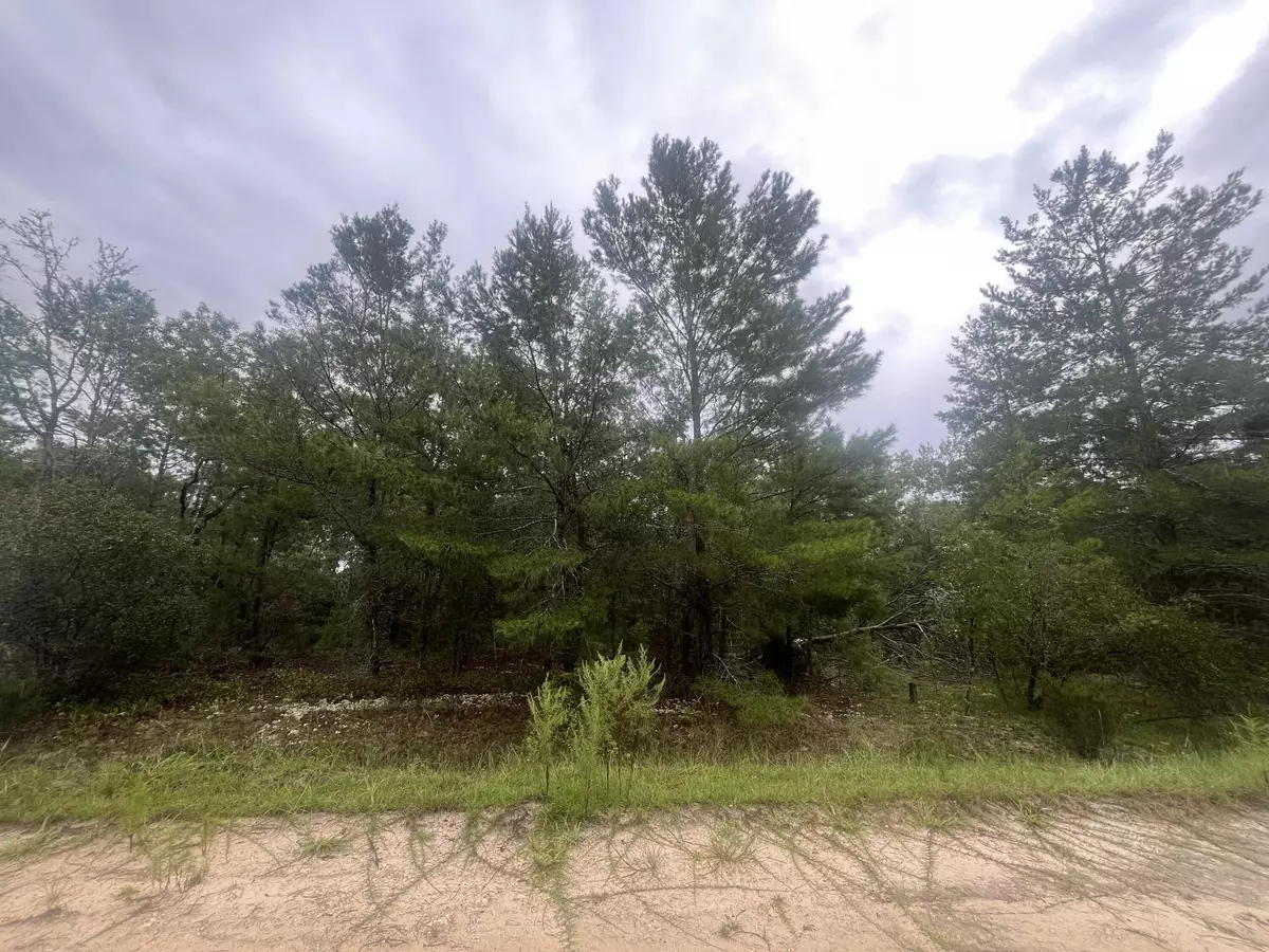 Interlachen, FL 32148,206 Wales ST